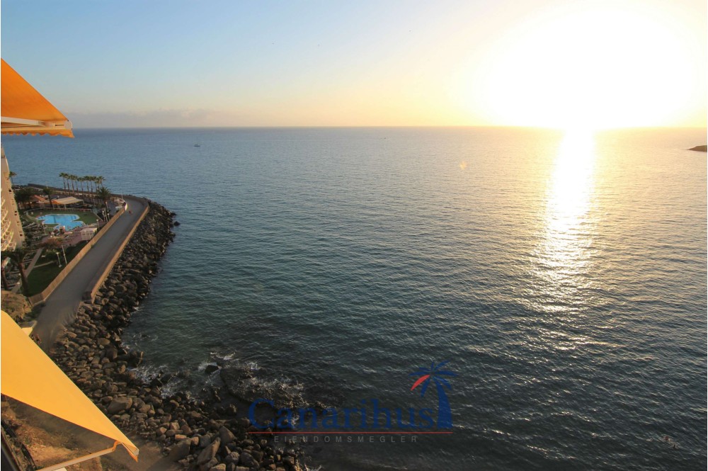 Leie - Donana - Patalavaca - Gran Canaria 